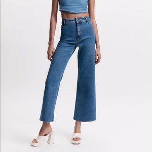 ZARA Marine Straight Jean